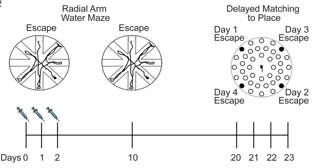 维生素最新动态,如何跟进学习并了解维生素更新信息