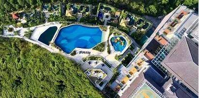 泉最新官网深度解析，探讨、观点与立场分析