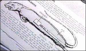 美国填尸最新进展，高科技重塑生活，未来科技魅力体验