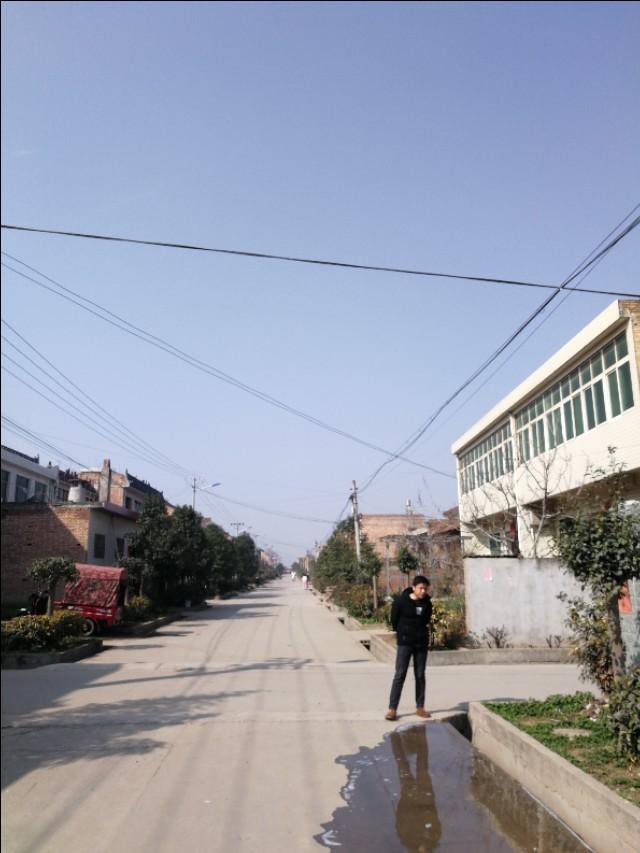 周至县最新动态，发展脉搏与时代步伐的交融进展