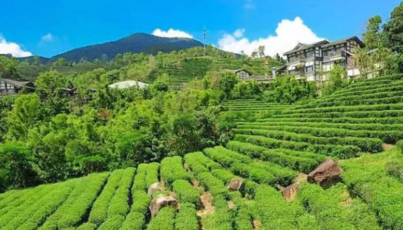 深圳惊喜活动温情之旅，日常中的特别瞬间