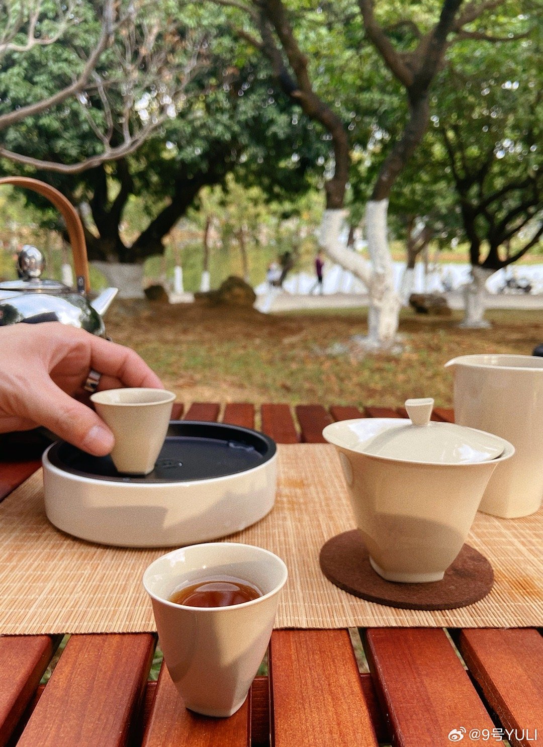 东莞最新品茶尝鲜指南