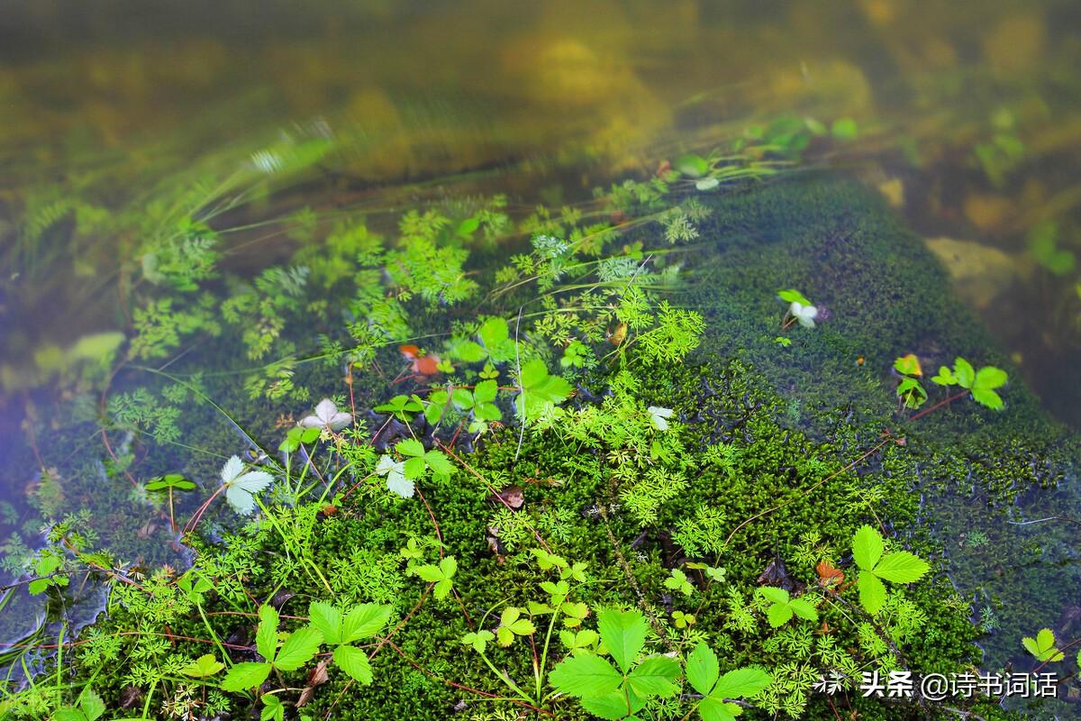 南山高楼崛起，背景、发展与时代地位全景解析