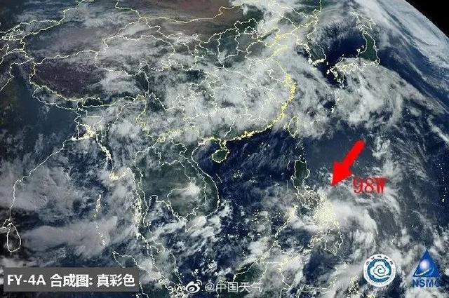 台风鹦鹉的最新动态，逆风翱翔的力量与学习魅力