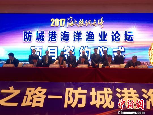防诚港最新,防诚港的最新发展，机遇与挑战并存