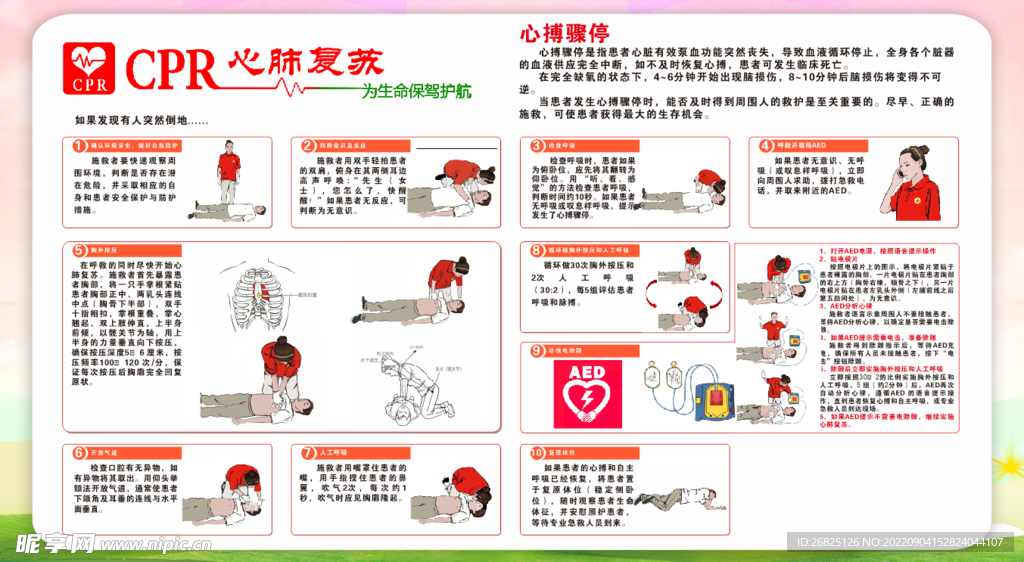 心肺最新进展及关注要点概述