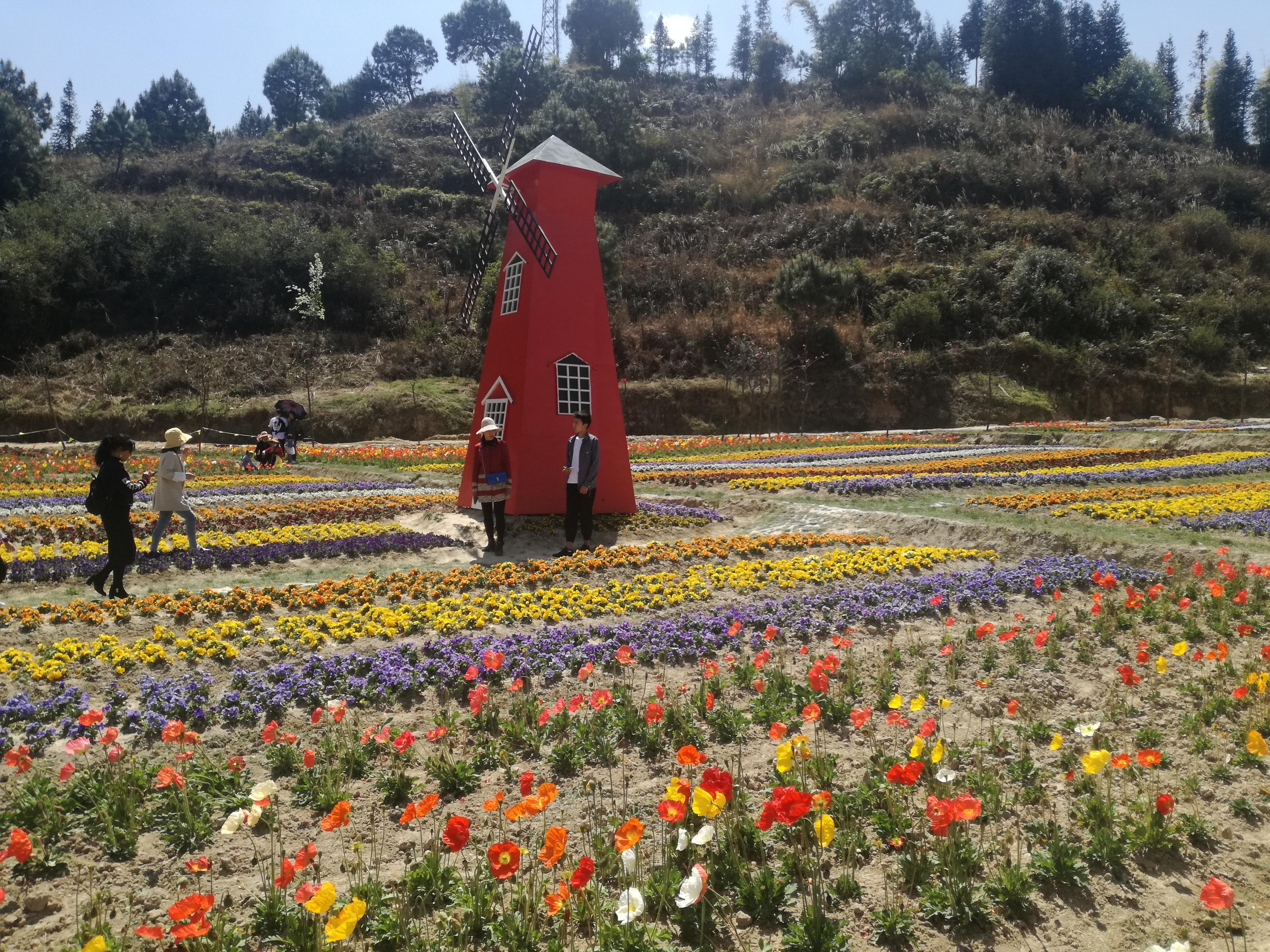 临沧市最新探索，自然美景之旅，寻找内心平和的旅程