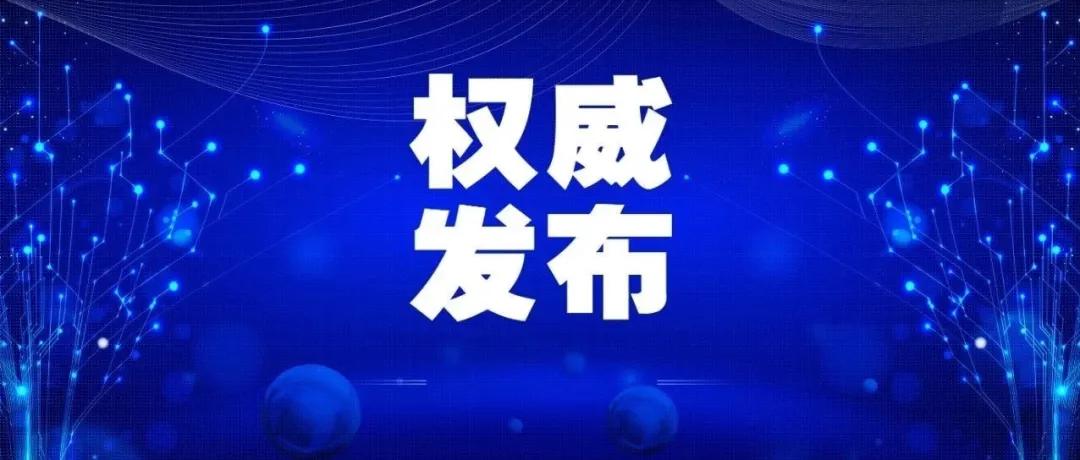 云南猪疫情最新动态，应对指南与关键措施揭秘