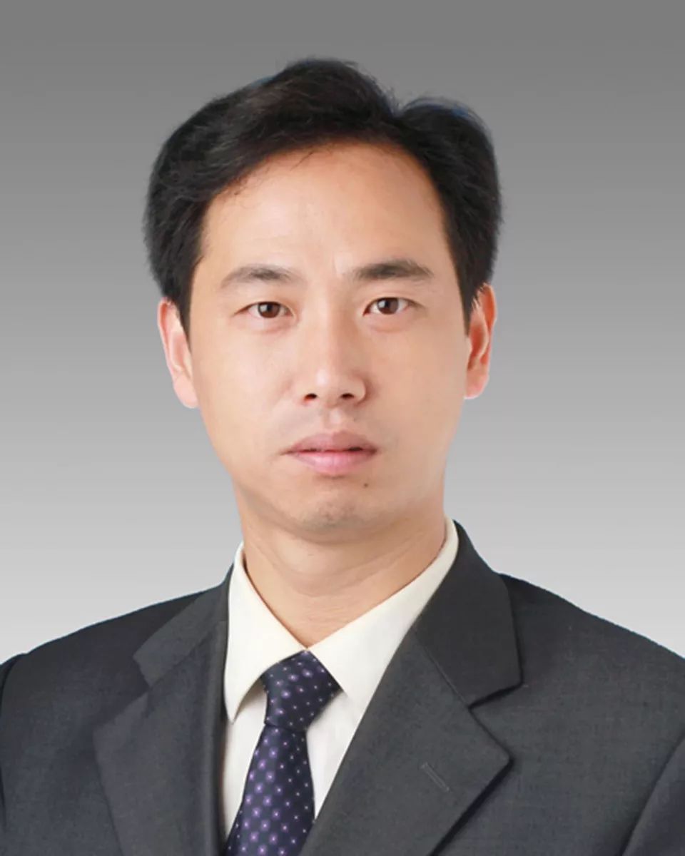 新昌最新任命,一场深思与探讨的历程