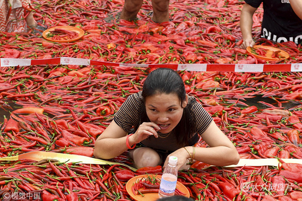 吃辣椒比赛完全攻略,从入门到进阶的指南