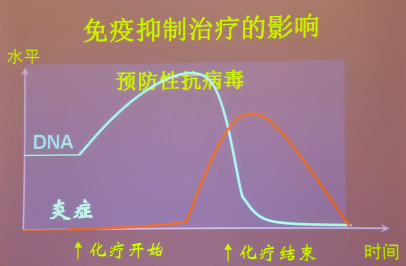 肝炎新进展揭秘，小巷深处的秘密小店探索
