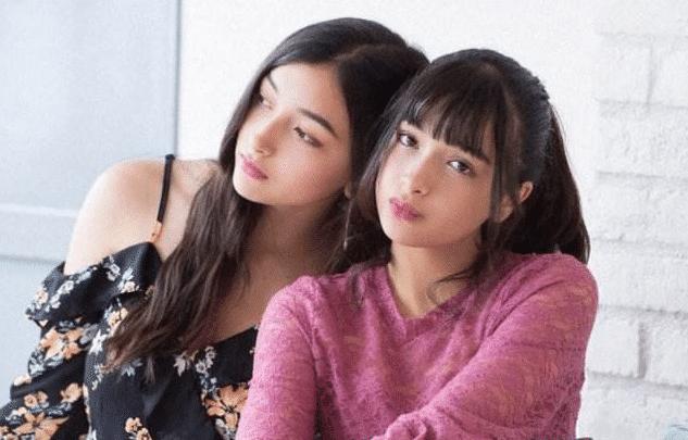 日本失踪双胞胎姐妹最新进展,追寻梦想之旅与挑战的力量探索