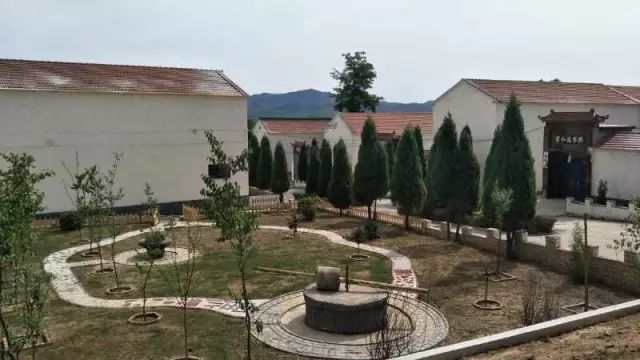 上庄最新动态，绿意盎然的新居生活🏡🌱