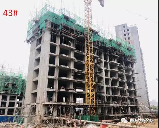 定陶吧最新资讯速递,热点信息一览📣🚀