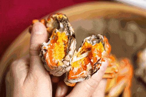 🔥阳澄湖螃蟹上市季节情报，吃货必知的秋季美味盛宴！🎉