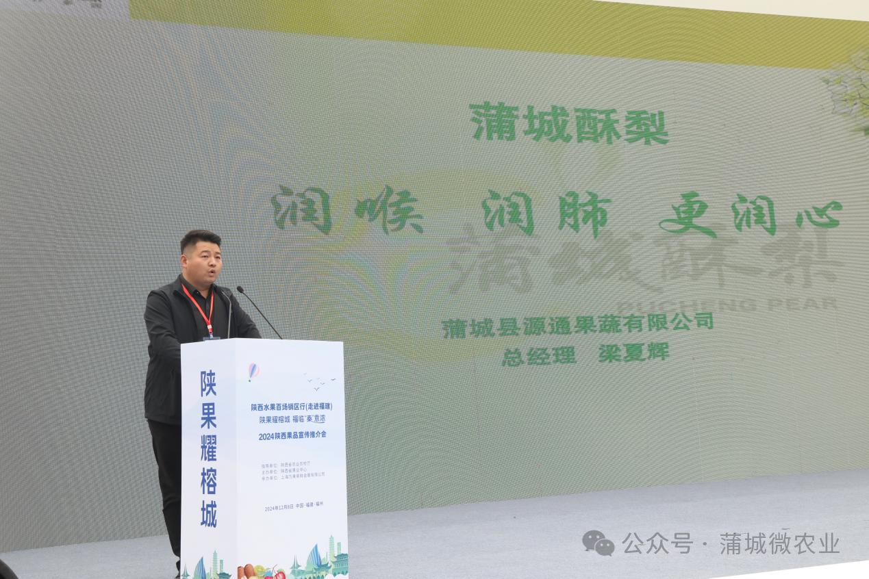 梨城资讯速递，探索梨城新动态与发展趋势