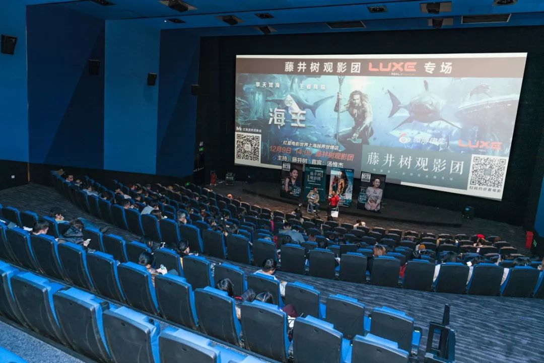 绿岛电影院，科技引领观影新时代，最新影片一览无余