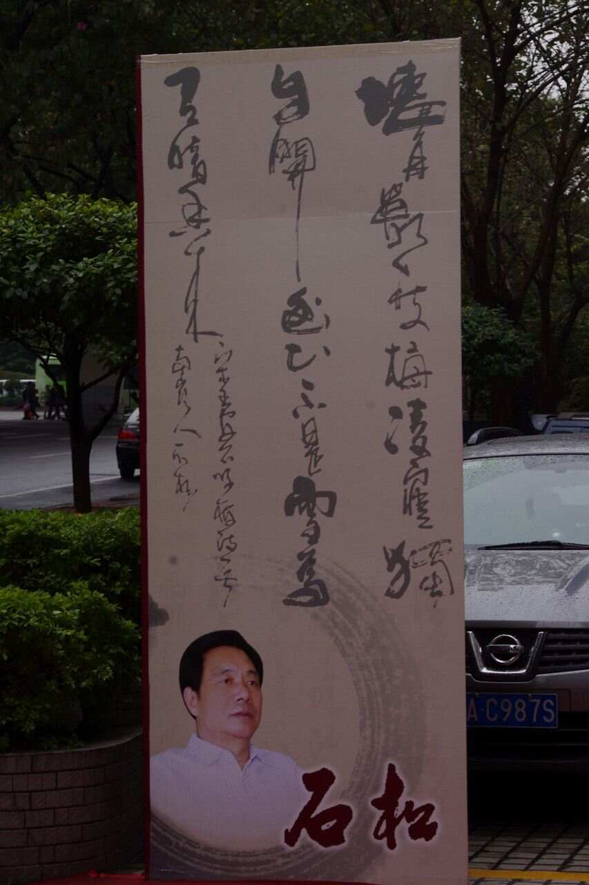 石松书法价格全面解析与评估指南,适合初学者与进阶用户参考