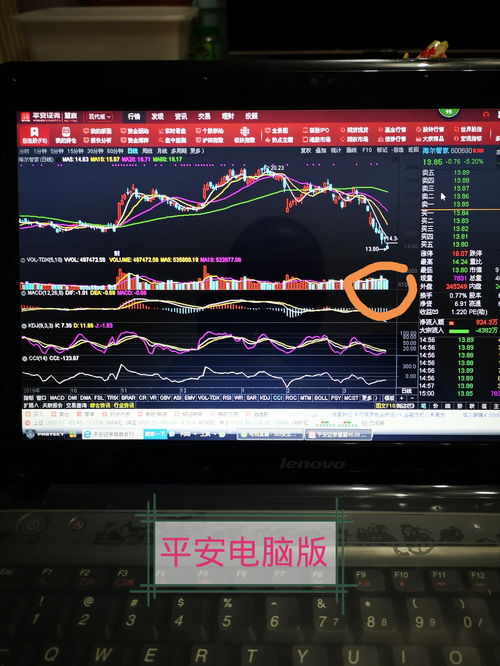 股票电脑版，开启温馨的股市之旅