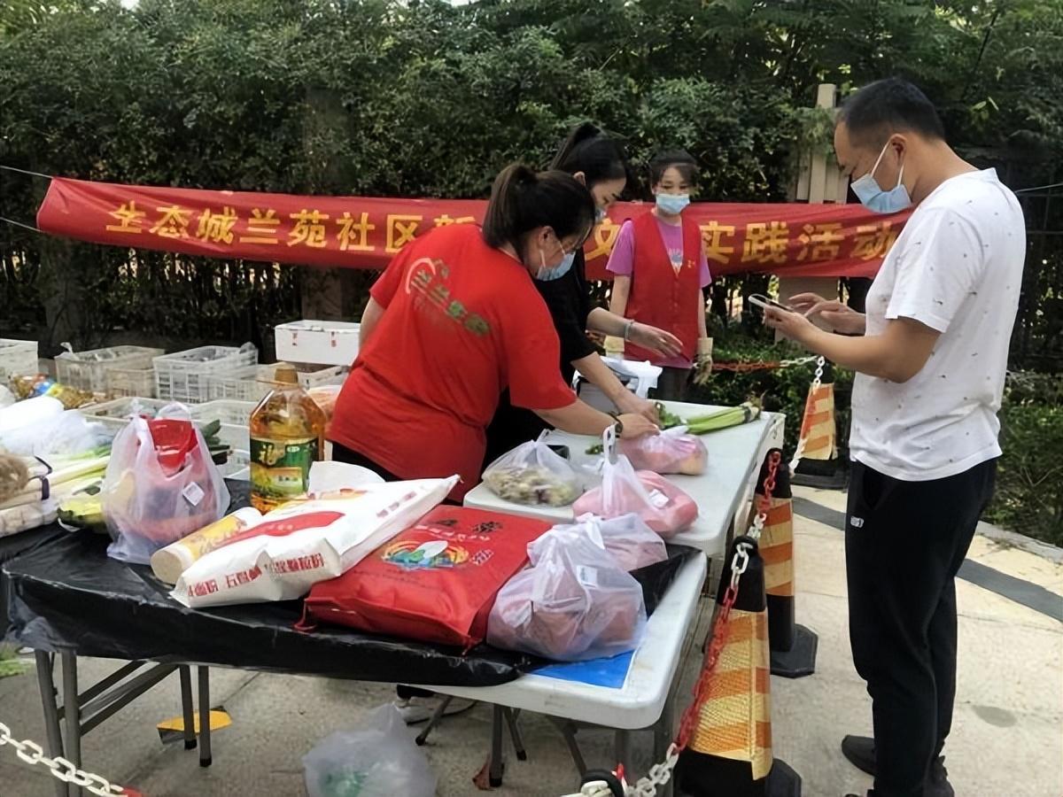 保利华润紫云价格深度解析，探寻背后的故事与地位影响