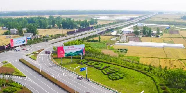 合肥北城今日热点资讯速递