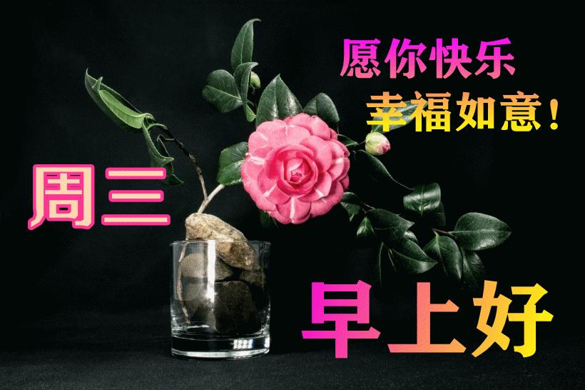 最新早晨问候动态表情包，温馨问候，从表情开始！