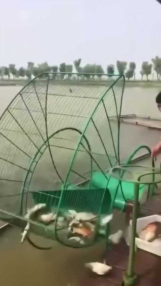 最新捕鱼设备,轻松探索自然美景的捕鱼之旅