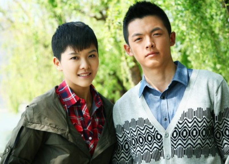 王洋主演电视剧大全,温馨日常的演绎之旅