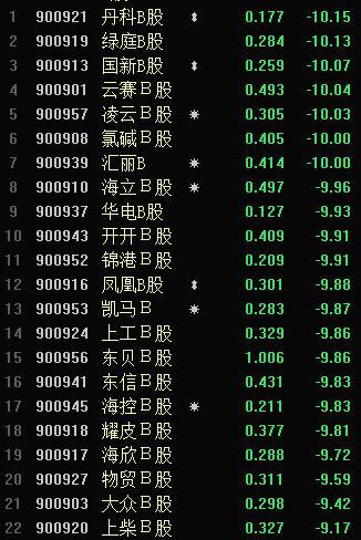 丹科B股票投资潜力与策略深度解析