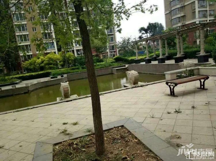 霸州御景阁最新动态,小巷独特风味探索之旅揭秘