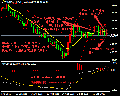 国际原油实时消息与能源动态速览,全球能源市场最新情报分析