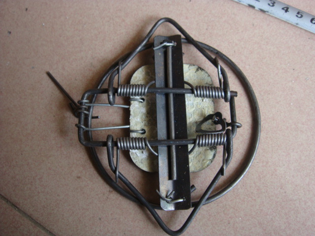 新款野猪夹子,现代狩猎与土地管理的必备利器