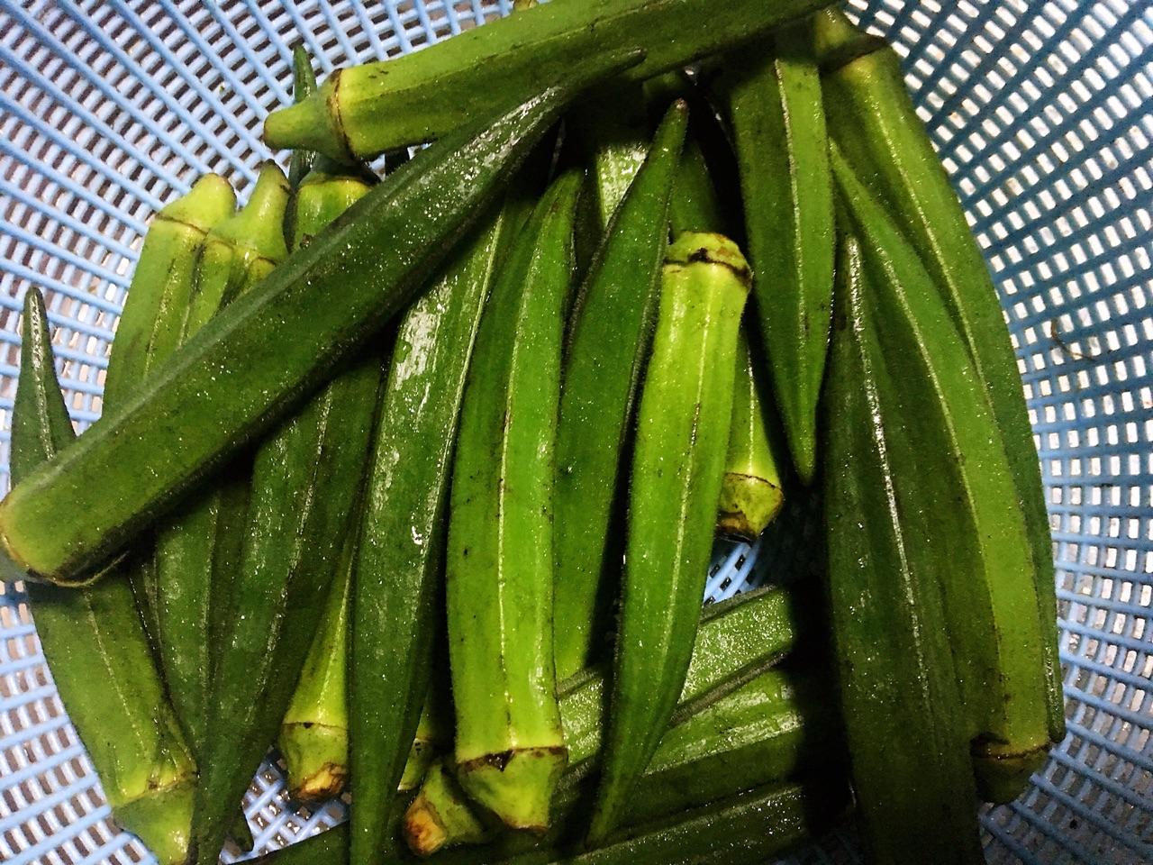 科技赋能下的秋葵价格行情,今日秋葵价格及智能生活影响探究