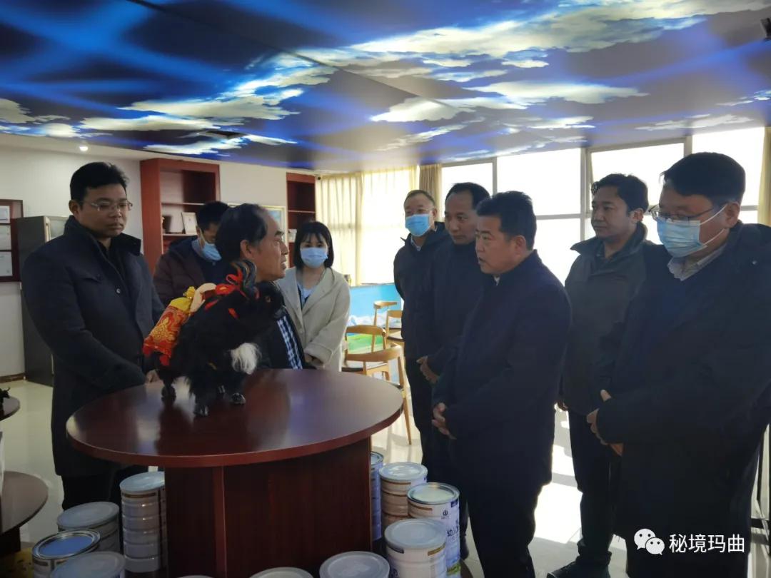 高原之宝上市，学习、蜕变与自信的辉煌之旅