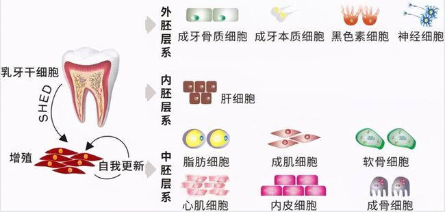 广场灯具 第189页