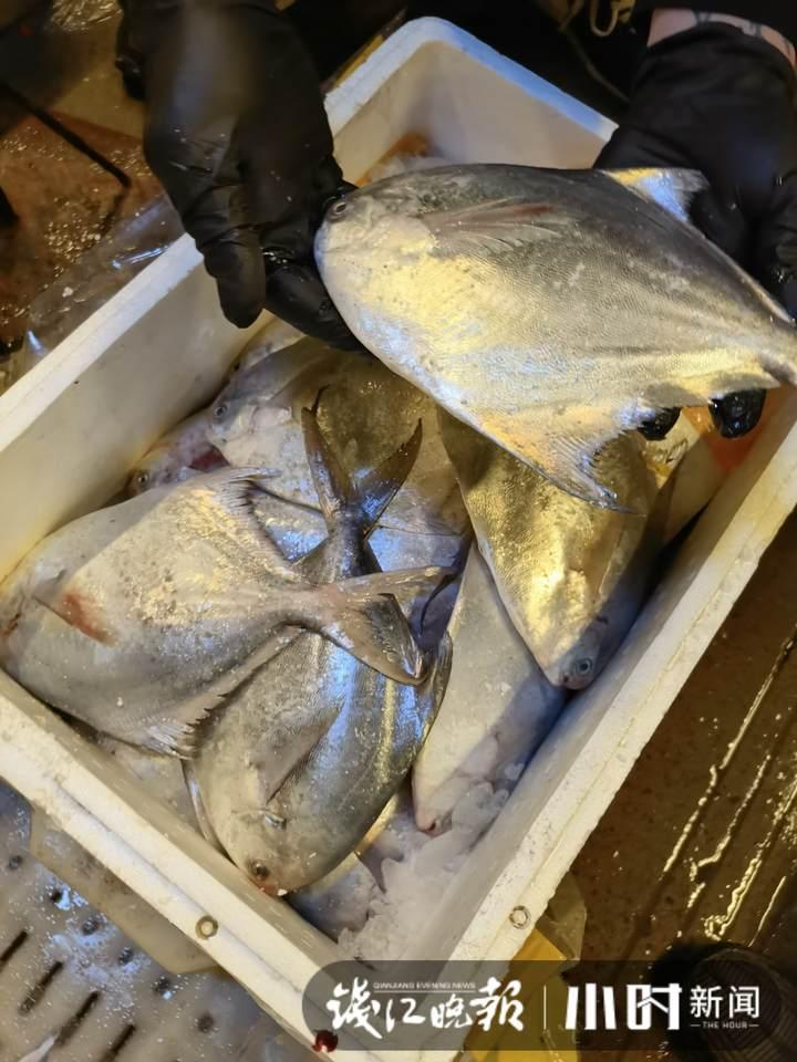 带鱼行情，一场海鲜盛宴的温馨之旅