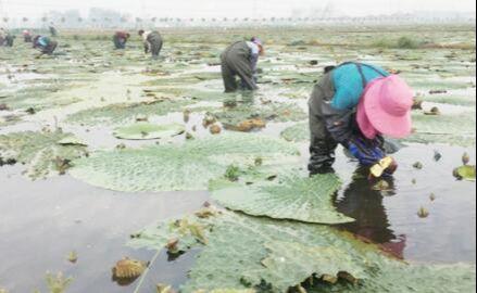 王码五最新版，键盘上的友情与家的温馨体验