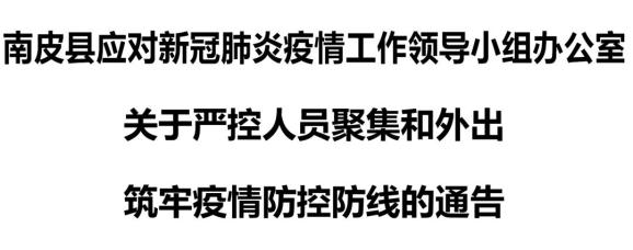 南皮最新动态概览