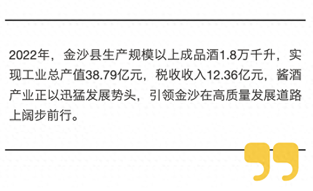 金沙未来繁荣蓝图，最新发展计划揭秘