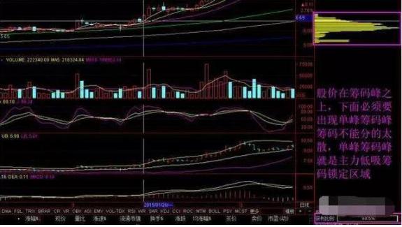 把握股票概率,开启投资成功之旅