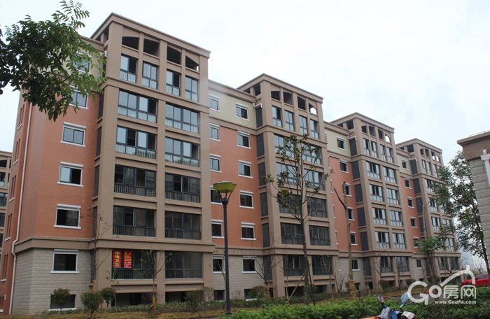 盐城龙桥新园最新动态揭秘，科技前沿引领新生活体验