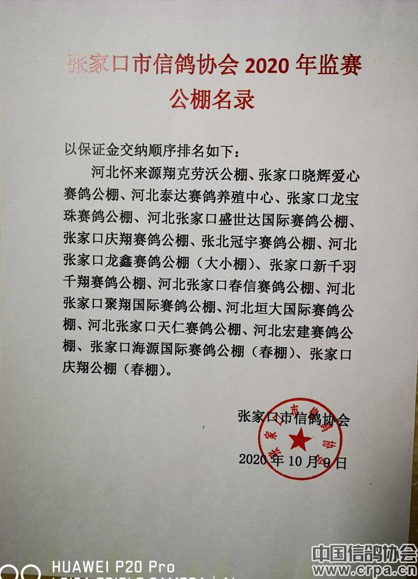 东光信鸽协会最新通告，小巷深处的独特风味揭秘与信鸽活动更新通知