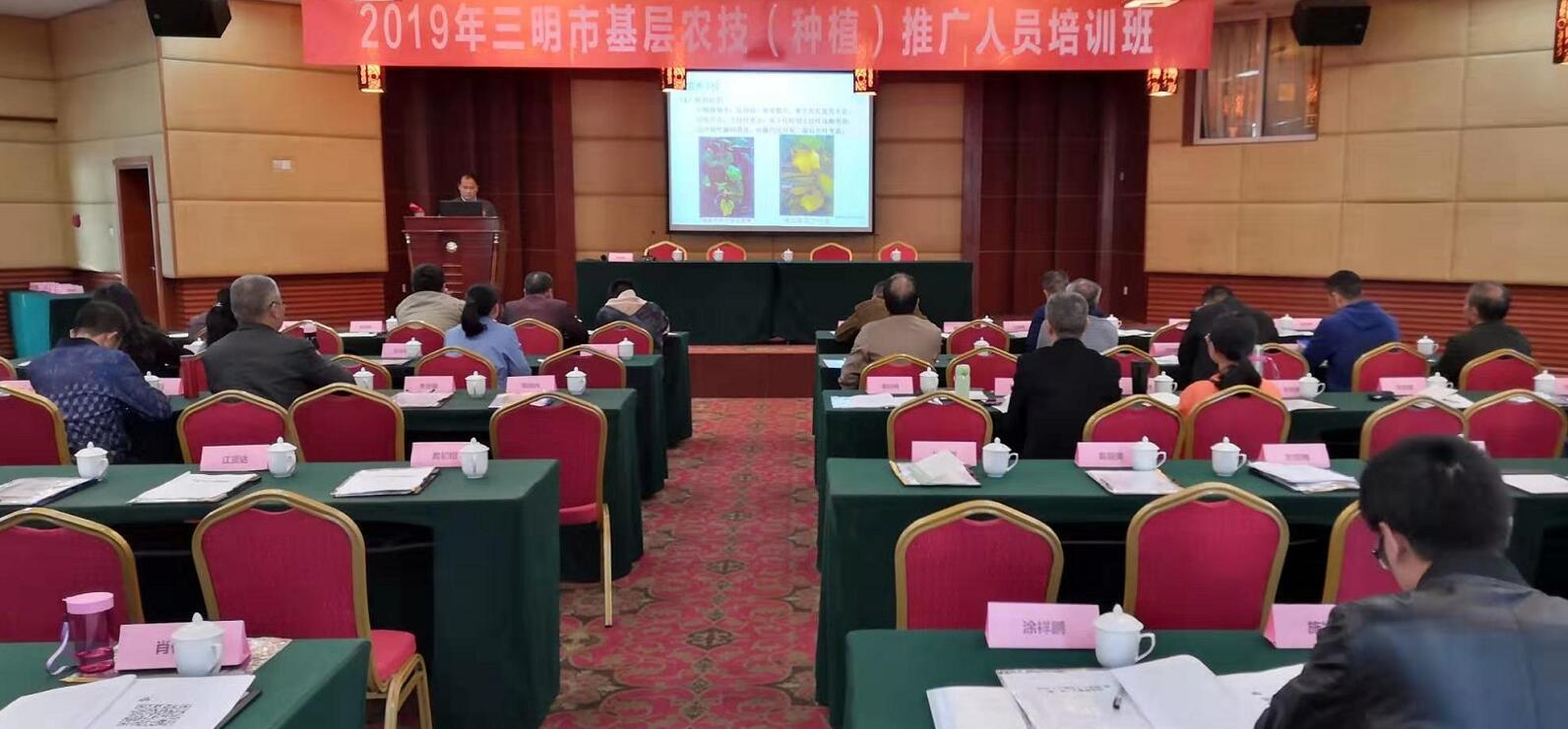 豇豆最新，厨房中的友情与家的温馨