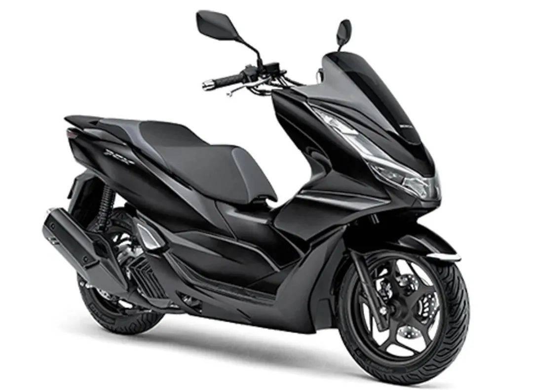 本田价格，友情与陪伴的温馨之旅