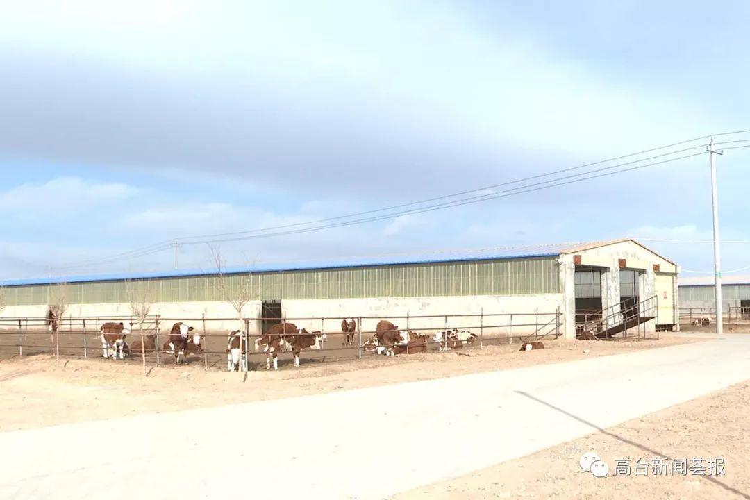 最新养殖场建设政策解读，探索之旅启程