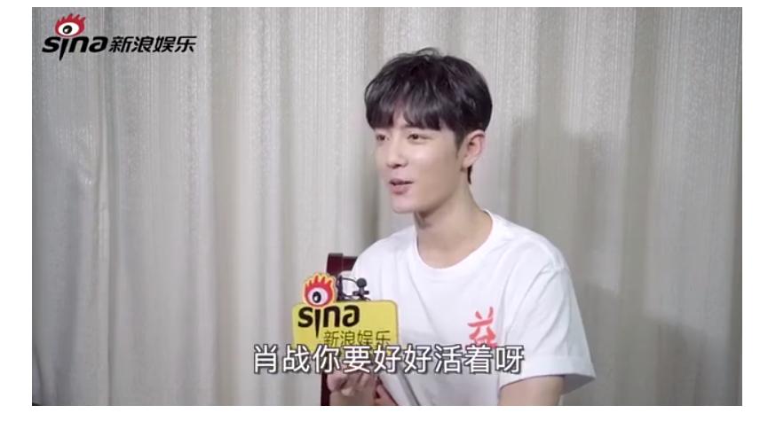 崽崽最新更新解析,游戏亮点与特色一览