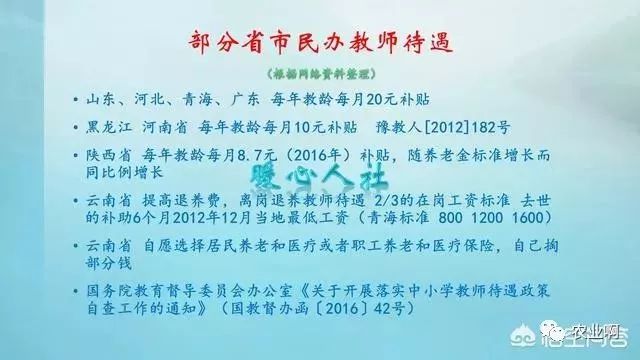民办教师最新资讯深度解析,透视与观点
