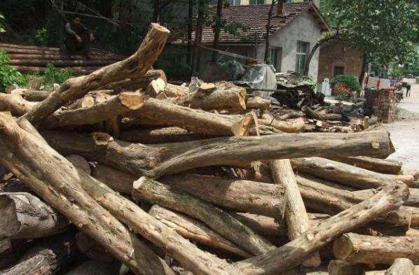 今天黄金价格动态及小巷宝藏探索揭秘