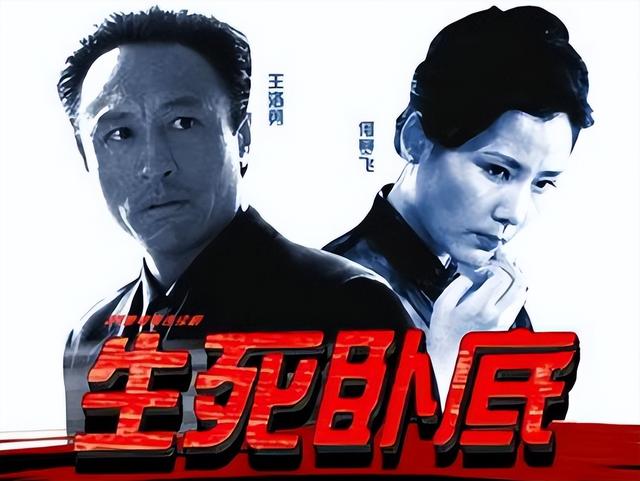 中国毒枭电视剧大全，友情与陪伴的温馨日常之旅