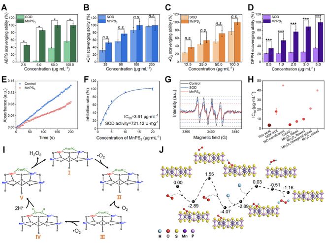 头发再生研究新动态,头发再生研究新动态，小巷深处的秘密秀发实验室